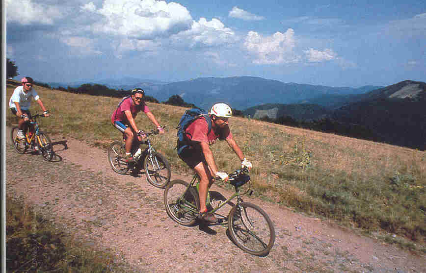 VTT